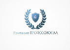 PROFESSIONAL logo
